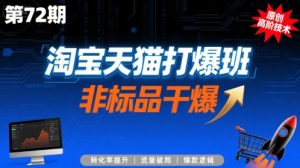 淘宝天猫打爆班原创高阶技术第72期，非标品干爆-聊项目