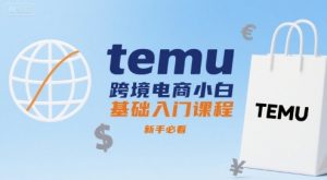temu跨境电商小白基础入门课程,新手必看-聊项目
