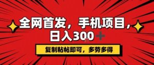 手机项目,日入3张+,复制黏贴即可,可矩阵操作,动手不动脑【揭秘】-聊项目