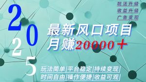 2025广告赛道新风口-月赚2W+玩法简单,时间自由-聊项目