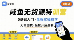 无货源特训营,0基础带你玩转咸鱼无货源-聊项目