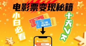 小白必看!卖电影票项目,零投入无门槛谁都能做,十天到手 7k,照做就行【揭秘】-聊项目