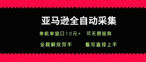 亚马逊全自动采集,单机单窗口一天10+,可无限矩阵去做【揭秘】-聊项目