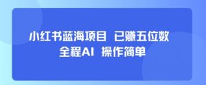 小红书蓝海项目,全程AI,操作简单,已挣五位数-聊项目