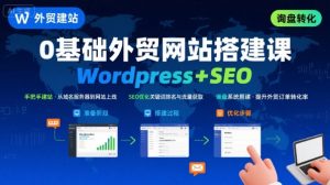 WordPress外贸建站+SEO优化课程,手把手教你从0到1搭建可获得询盘的外贸网站-聊项目