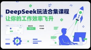 DeepSeek玩法合集课程,让你的工作效率飞升-聊项目