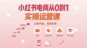 小红书电商从0到1实操运营课,从零开始,简单易学-聊项目