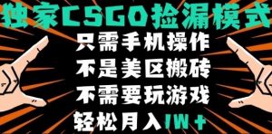 CSGO自动捡漏项目,最新独家玩法,不是美区搬砖,不需要了解和玩游戏,新手小白轻松月入1W+【揭秘】-聊项目