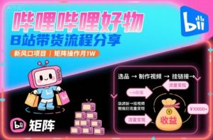 哔哩哔哩好物,B站带货流程分享,新风口项目,矩阵操作月1W-聊项目
