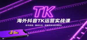 海外抖音TK运营实战课：账号搭建、精准引流、剪辑带货与私域转化-聊项目