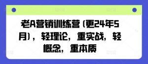 老A营销训练营(更25年8月),轻理论,重实战,轻概念,重本质-聊项目
