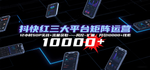 抖快红三大平台矩阵运营，12小时SOP实战+流量获取-风控-扩量，月引10000+线索-聊项目