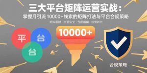 三大平台矩阵运营实战:掌握月引流10000+线索的矩阵打法与平台合规策略-聊项目