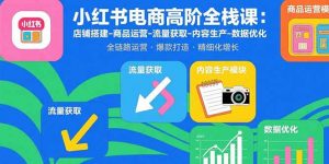 小红书电商高阶全栈课:店铺搭建-商品运营-流量获取-内容生产-数据优化-聊项目