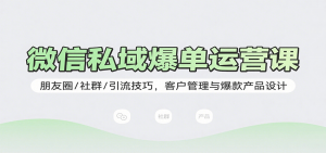 微信私域爆单运营课：朋友圈/社群/引流技巧，客户管理与爆款产品设计-聊项目