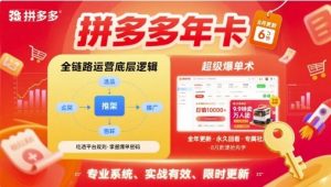 拼多多年卡【8月更新6节】拼多多全链路运营底层逻辑,超级爆单术-聊项目