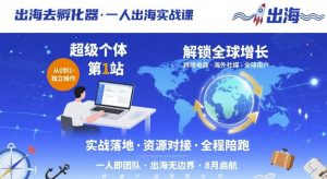 出海去孵化器，一人出海实战课，超级个体第1站，解锁全球增长-聊项目