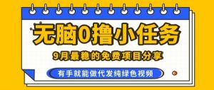0学费0风险,2025风口项目,无脑免费撸,代发纯绿色视频,一部手机人人可做【揭秘】-聊项目