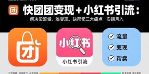 快团团变现+小红书引流:解决没流量、难变现、缺帮卖三大痛点 实现月入3w+-聊项目