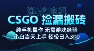 8月最新游戏搬砖,CSGO纯挂G,不需要玩游戏,实现真挂G,月入1W+【揭秘】-聊项目