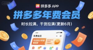 拼多多年费会员,实经验分享操,时长拉满,干货拉满(更新9月)-聊项目