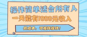 操作简单适合所有人全自动挂机项目,一天能有1000元收入,低成本,可矩…-聊项目