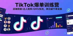 TikTok爆单训练营，店铺搭建/达人矩阵/GMV投流，单日破千单实操-聊项目