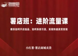 小红薯薯店商城卖货,进阶流量课,教你如何开店选品、如何系统引流,实现快速卖货变现-聊项目