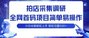 拍店采集调研,全网首码项目,简单易操作, 小白也能轻松上手,多账号操作,轻松日入5张【揭秘】-聊项目