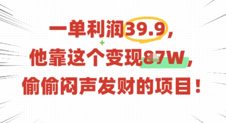 一单利润39.9，有人靠这个变现几十个，偷偷闷声发财的项目-聊项目