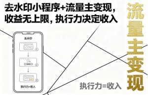 去水印小程序+流量主变现，收益无上限，执行力决定收入-聊项目