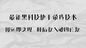 搬运即变现!最新黑科技快手带货Ai搬运技术,睡后收入破四位数-聊项目