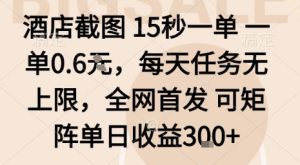 酒店截图15秒一单，一单0.6米，每天任务无上限，全网首发可矩阵单日收益3张【揭秘】-聊项目