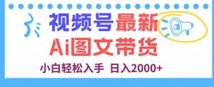 视频号最新AI图文带货,每天几分钟,小白轻松入手,日入2000+-聊项目