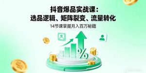 抖音爆品实战课:选品逻辑、矩阵裂变、流量转化,14节课掌握月入百万秘籍-聊项目