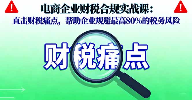 电商企业财税合规实战课，直击财税痛点，帮助企业规避最高80%的税务风险-聊项目