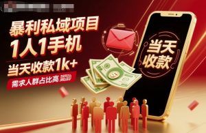 暴利私域项目1人1手机,当天收款1k+,需求人群占比高,当天就能见到钱-聊项目