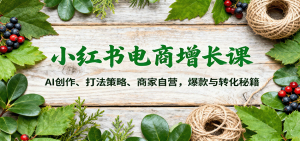 小红书电商增长课:AI创作、打法策略、商家自营,爆款与转化秘籍-聊项目