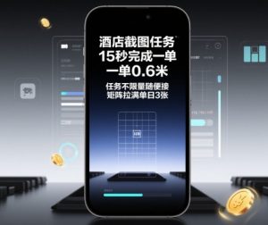 酒店截图任务,15秒完成一单,一单0.6米,任务不限量随便接,矩阵拉满单日3张【揭秘】-聊项目