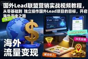 国外Lead联盟营销实战视频教程,从零基础到独立操作国外Lead项目的目标,开启海外淘金之路-聊项目