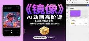 《镜像》AI动画高阶课:全网爆火短片复刻,音频驱动+分镜+特效叠加技法-聊项目