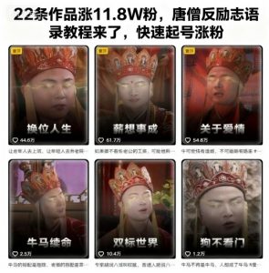 22条作品涨11.8W粉,唐僧反励志语录教程来了,快速起号涨粉-聊项目