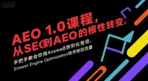AEO 1.0 课程，从SEO到AE0的基命性转变，手把手教会你用AnswerEngineOptimization技术抢回流量(更新)-聊项目