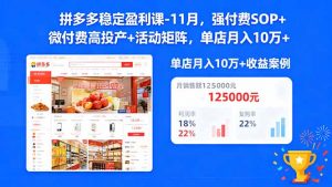 拼多多稳定盈利课-11月，强付费SOP+微付费高投产+活动矩阵，单店月入10万+-聊项目