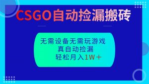CSGO自动捡漏搬砖,当天操作当天见结果,无需了解游戏,包教包会包落地-聊项目