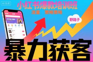 小红书爆款培训班,小红书获客野路子流量打法,暴力持续获客-聊项目