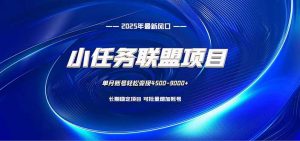 小任务联盟项目:一台电脑每天只需10分钟,轻松简单稳定-聊项目