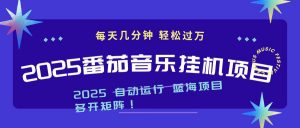 2025最新挂机番茄音乐项目,每天几分钟,日入1000+-聊项目