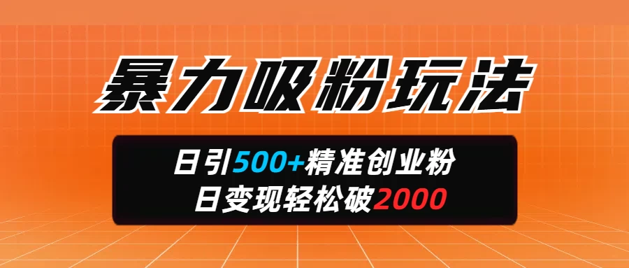 暴力吸粉玩法，日引500+精准创业粉，日变现轻松破2000-聊项目