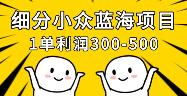 细分小众蓝海项目，一单利润300-500，每月收入稳定4w+-聊项目